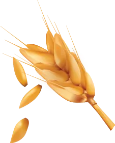 Innovia